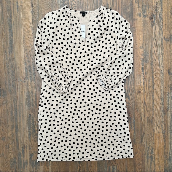 Ann Taylor Polka Dot Shift Dress - Picture 1 of 7